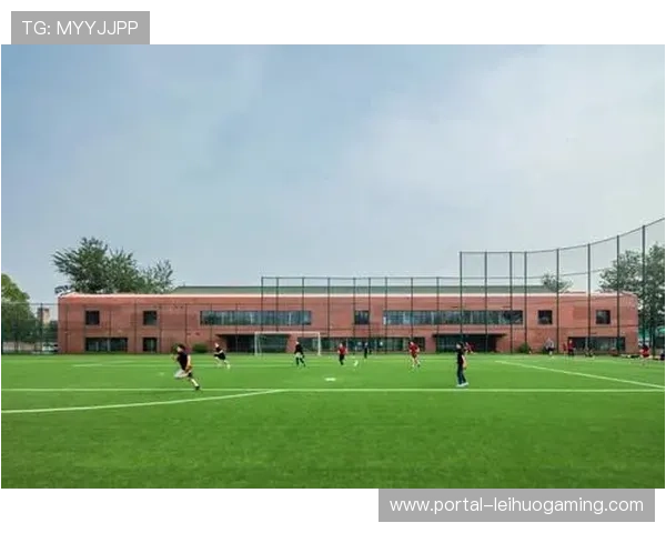 体育纪录片聚焦平民故事，引发社会共鸣